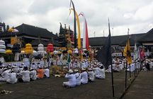 Private Tour Besakih Mother Temple, Waterfall with Transfers