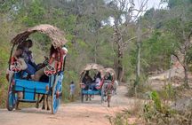 Sigiriya Rock and Village Tour from Mount Lavinia