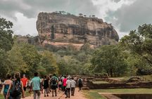 Sigiriya Rock and Wild Elephant Safari from Dambulla