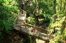 Best of Ubud - Kintamani Volcano View - Private Tour