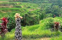 Best of Ubud - Kintamani Volcano View - Private Tour