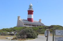 Private trip to Cape Agulhas Where Two Oceans Meet Price / Group