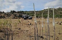 4x4 excursion between mountain and sea
