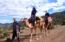 Three Valleys and the Atlas Mountains with Camel Ride and Lunch from Marrakech
