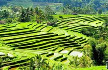 Full-Day Private Cultural Bali Tour + Balinese Driver 