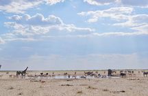 3 Day Etosha Private Guided Safari
