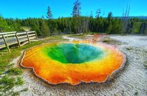 Boutique Yellowstone Day Tour from Bozeman