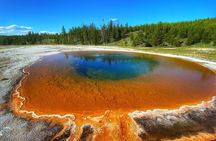 Boutique Yellowstone Day Tour from Bozeman
