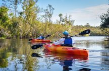 Everglades Guided Kayak Tour