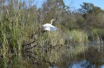 Everglades Guided Kayak Tour