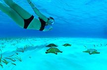 Live this unique snorkeling experience. El Cielo in Cozumel a magical tour.
