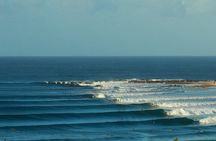 7-Day Byron Bay, Evans Head and Moonee Beach Surf Safari from Brisbane, Gold Coast or Byron Bay