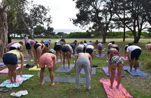 Overnight Tweed Coast Camping and Surfing Getaway From The Gold Coast