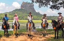 Horse riding tour (7 Days)