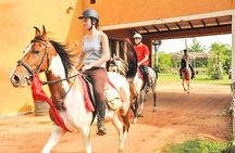 Horse riding tour (7 Days)