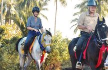 Horse riding tour (7 Days)