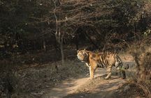 Royal Rajasthan In Depth Culture - Overland Tour