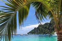 Phuket to Phi Phi Islands By Express Ferry including Lunch