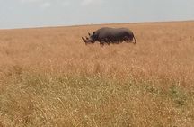 5 Days Safari to Amboseli N/P, Lake Naivasha, Maasai Mara N/R.