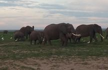 4 Days Safari to Amboseli N/P, Tsavo East N/P.