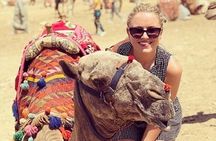 Private Tour to Giza Pyramids, Sphinx , Coptic and Islamic Cairo 