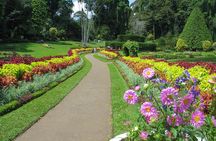 Kandy City Tour from Colombo