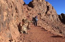 Mount Sinai Sunrise Climb from Sharm El Sheikh