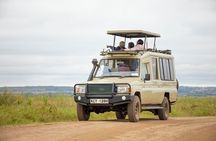 Half-Day Private Guided Safari Tour to Nairobi National Park