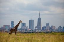 Half-Day Private Guided Safari Tour to Nairobi National Park