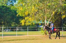 Horse Riding for Beginers from Dambulla