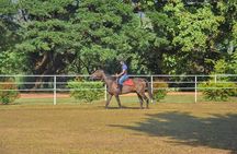 Horse Riding for Beginers from Dambulla