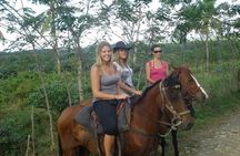 mountain horse back riding