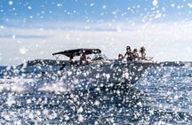 Private Boat Tour Kotor - Blue Cave Adventure - Up to 9 passengers 