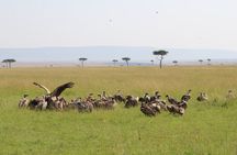 3 Days Safari Tour in Lake Manyara and Ngorngoro