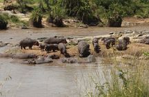3 Days Safari Tour in Lake Manyara and Ngorngoro