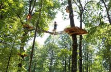 Adult Daily ticket for Adventure Park in Gravedona