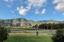 Stanford Mountain Ride 2 Hours