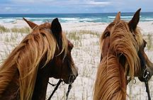 Beach Ride - Stanford