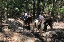 Stanford Mountain Ride 1 Hour