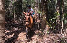 Stanford Mountain Ride 1 Hour
