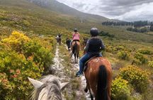 Stanford Mountain Ride 1 Hour