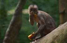 5 Days Cuyabeno Wildlife Reserve Adventure