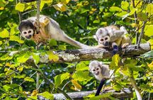 5 Days Cuyabeno Wildlife Reserve Adventure