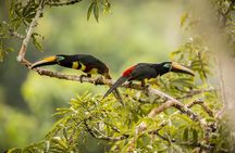 5 Days Cuyabeno Wildlife Reserve Adventure