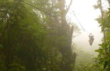 Zipline and Hanging Bridges Combo Tour in Monteverde Cloud Forest