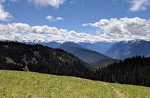 Olympic National Park - Private Luxury Day Tour with Lunch