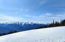 Olympic National Park - Private Luxury Day Tour with Lunch