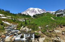 Mount Rainier National Park - Private Luxury Day Tour with Lunch