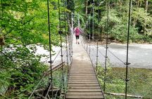 Mount Rainier National Park - Private Luxury Day Tour with Lunch