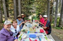 Mount Rainier National Park - Private Luxury Day Tour with Lunch